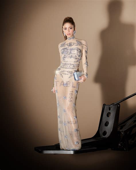 shakira wearing a sheer gown.